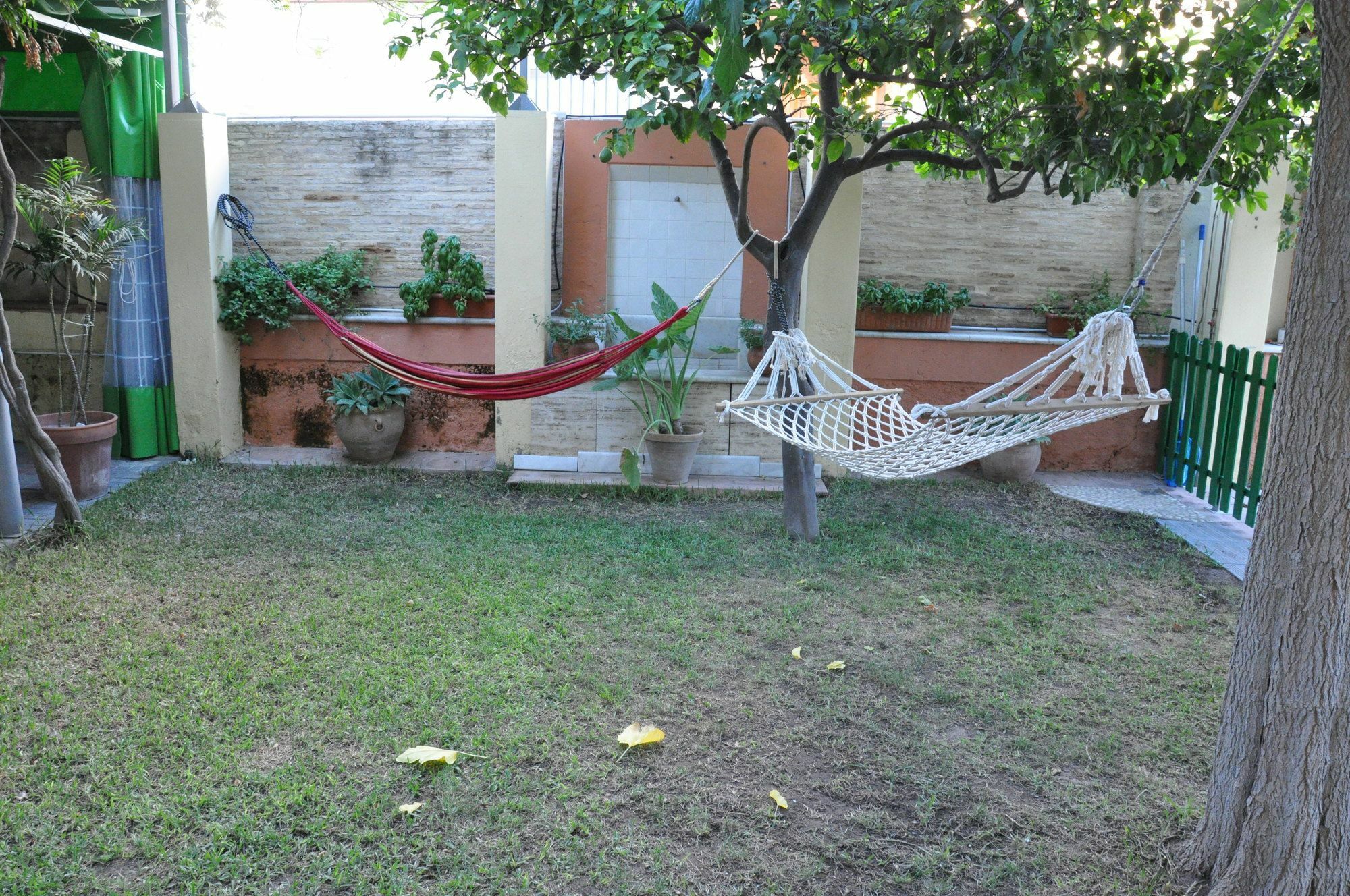 Lemon Garden Hostel Sevilla 外观 照片
